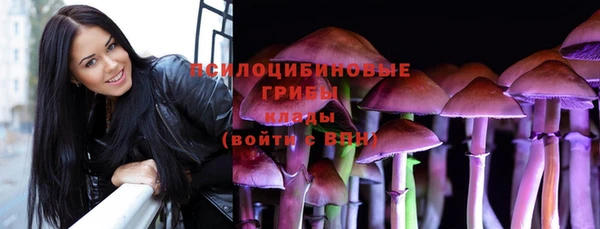 гидропоника Горно-Алтайск