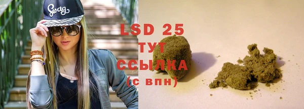 прущие крисы Горняк