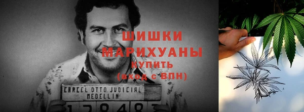 гидропоника Горно-Алтайск