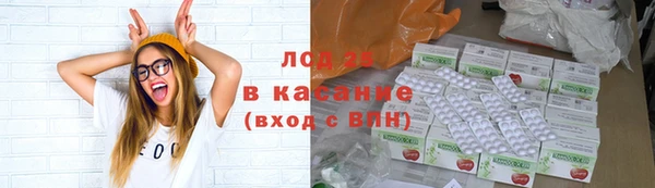 прущие крисы Горняк