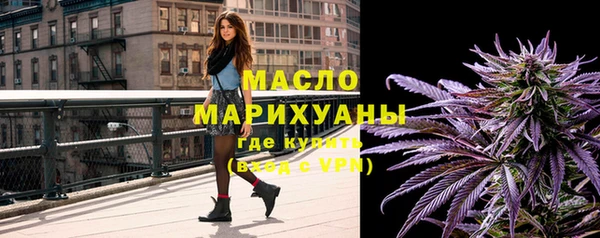 прущие крисы Горняк