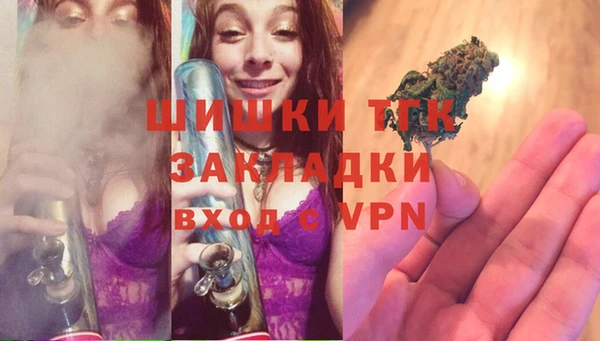 прущие крисы Горняк