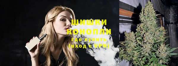 прущие крисы Горняк